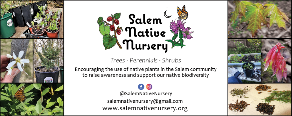 Created as a 60"x24" banner to display at Salem Native Nursery plant sales and events, featuring photos of native trees, flowers, seeds, and potted plants. For more information, visit www.salemnativenursery.org