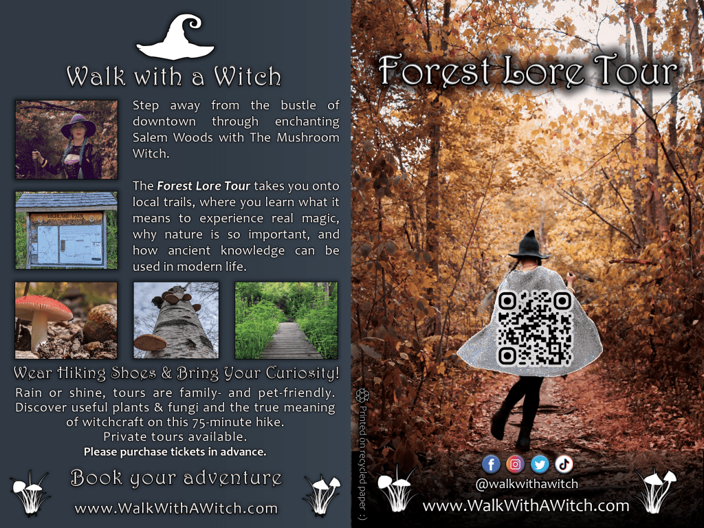 Two-sided flyer for the Forest Lore Tour, which includes information about the tour, nature photos, and ways to book tickets. Visit www.forestloretour.com to learn more.