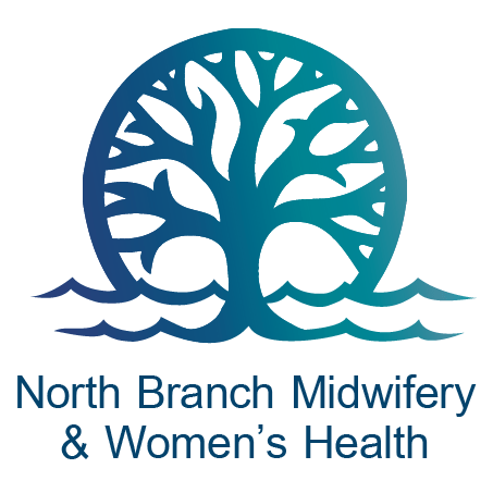 Logo for North Branch Midwifery, featuring a tree in front of a rising sun over waves of water, colored with a navy-blue and Teal gradient. Visit www.northbranchmidwifery.com to learn more about this organization.